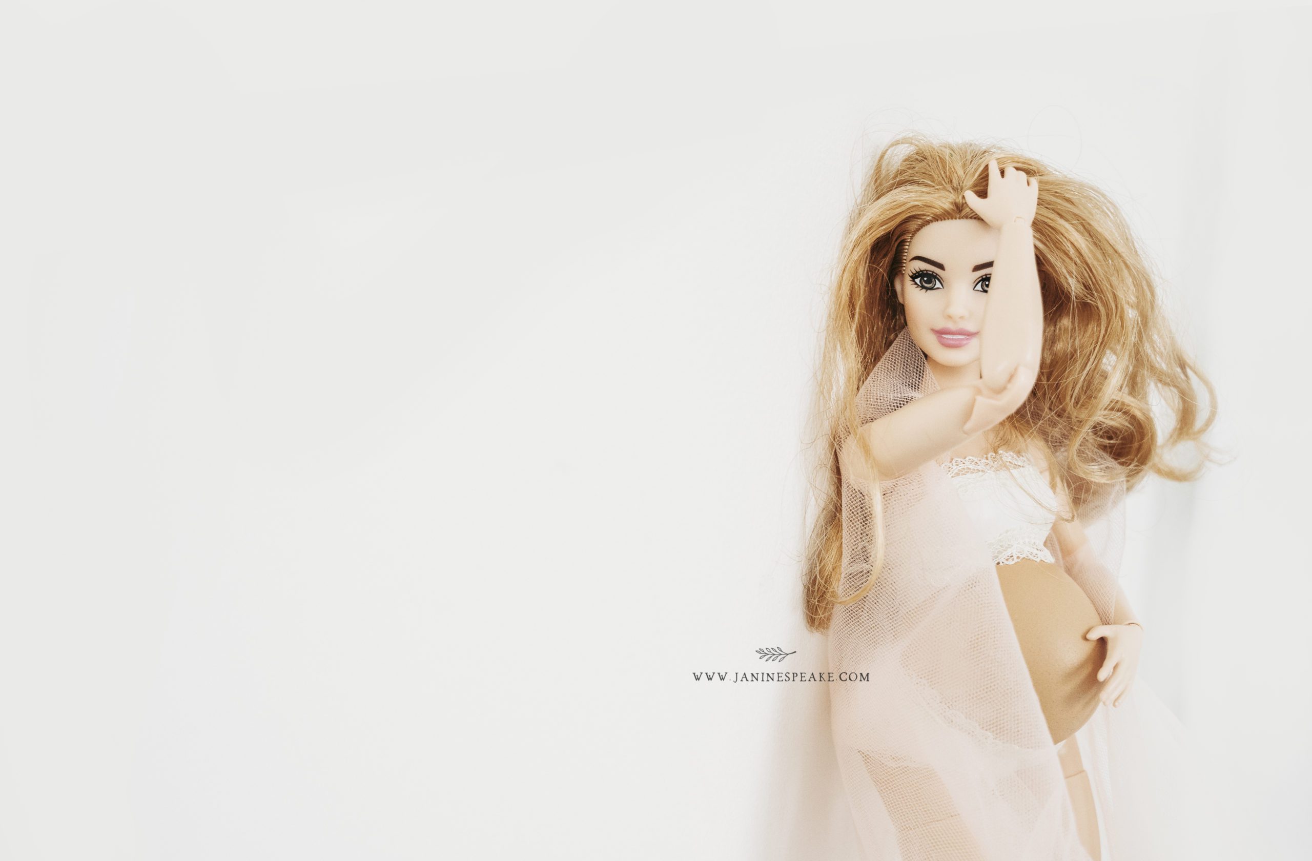 Barbie Photographer