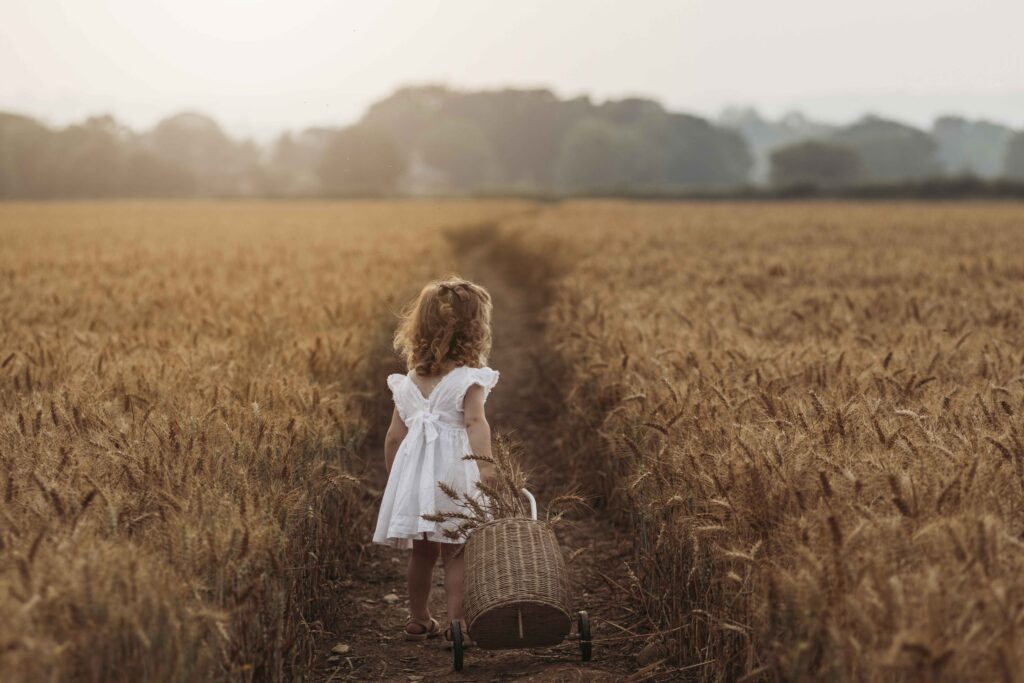 Wheat field pregnancy reveal photoshoot